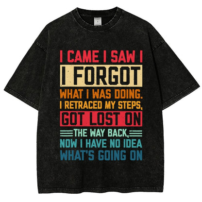 I Came I Saw I Forgot What I Was Doing Sarcastic Vintage Distressed T-shirt