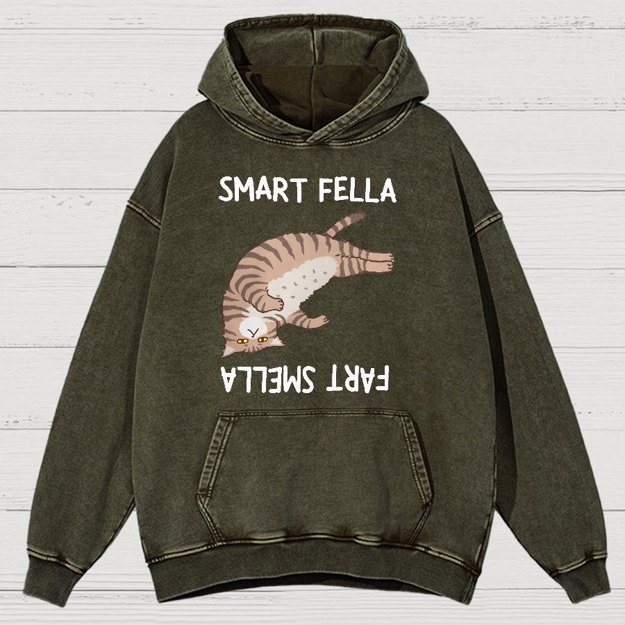 Smart Fella Fart Smella  Funny Cat Pun Vintage Distressed Hoodie