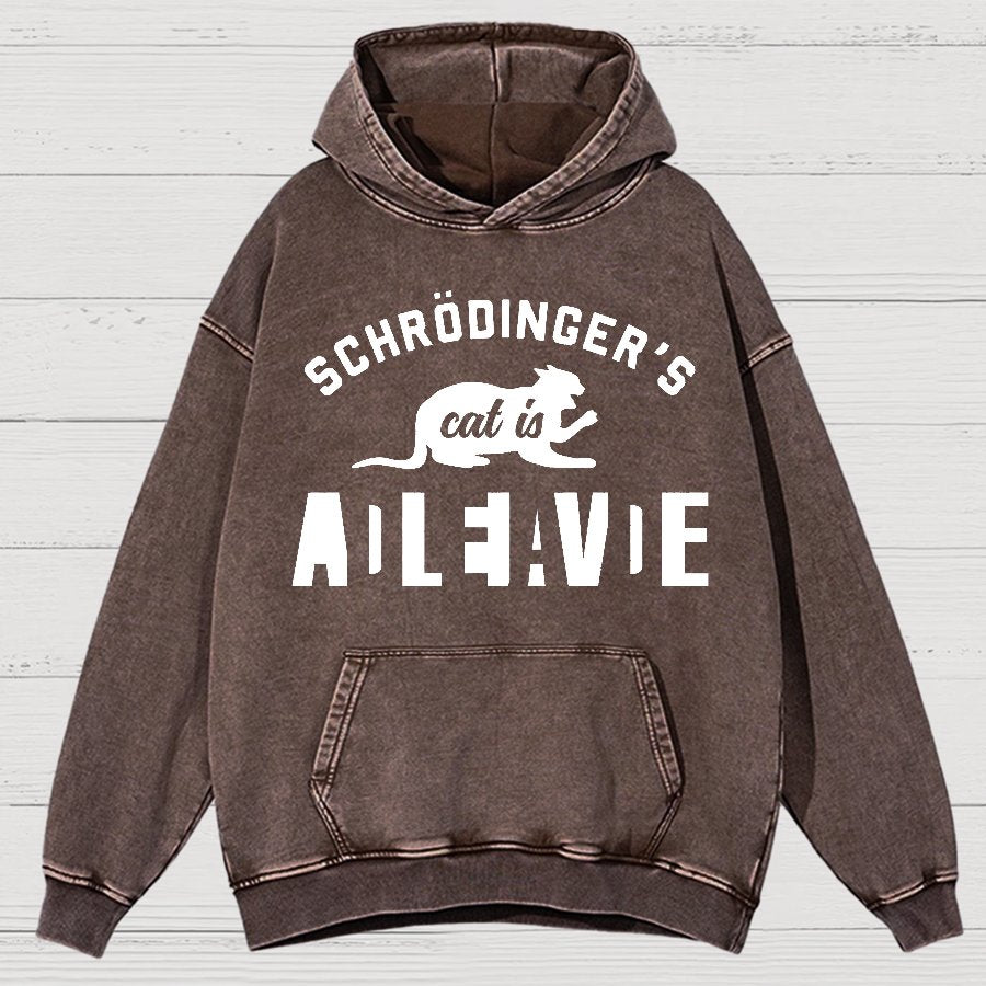Schrodinger's Cat Vintage Distressed Hoodie