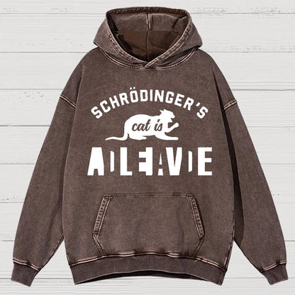 Schrodinger's Cat Vintage Distressed Hoodie