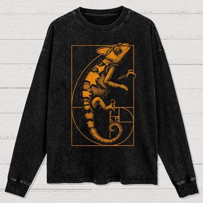 Chameleon Ratio Washed Long Sleeve Tee