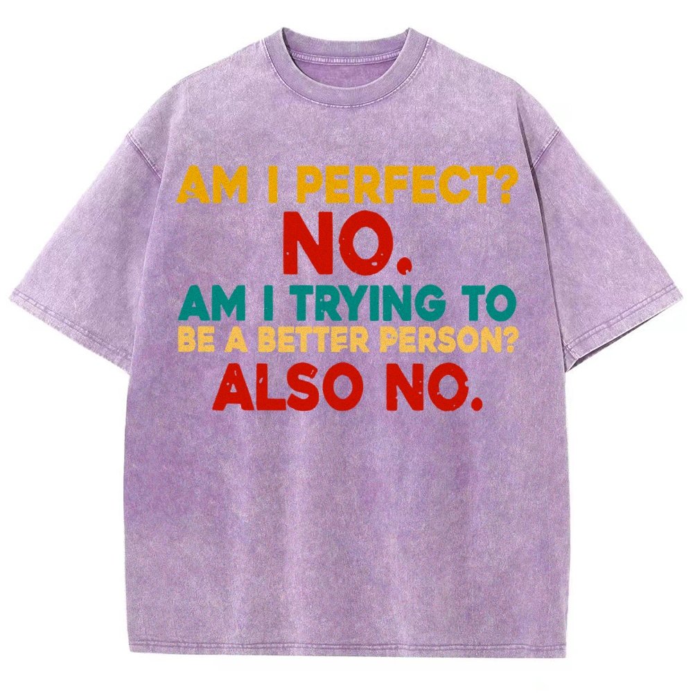 Am I Perfect No Am I Trying To Be A Better Person Also No Funny Quote Vintage Distressed T-shirt