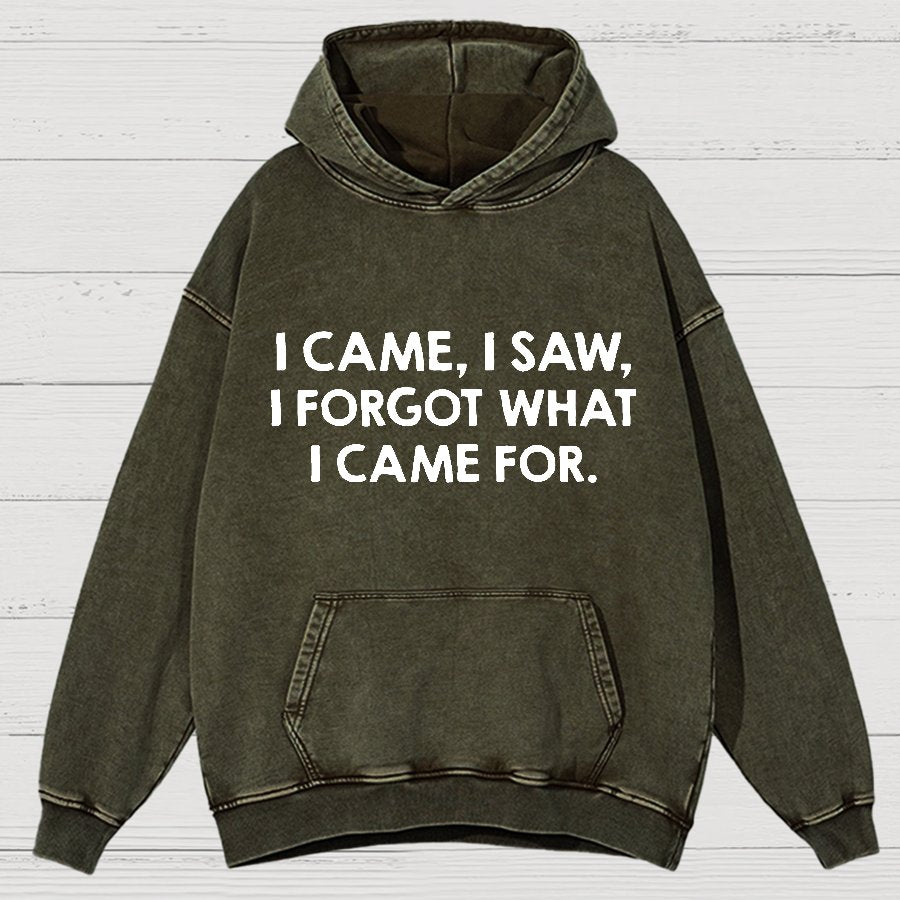 I Came and Saw Funny  Vintage Distressed Hoodie