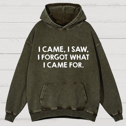 I Came and Saw Funny  Vintage Distressed Hoodie