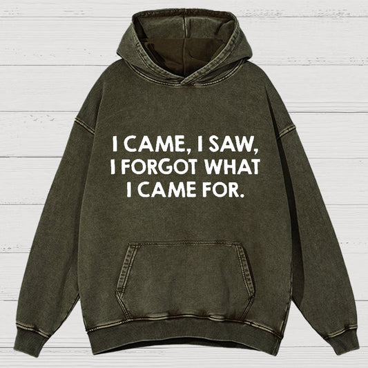 I Came and Saw Funny  Vintage Distressed Hoodie
