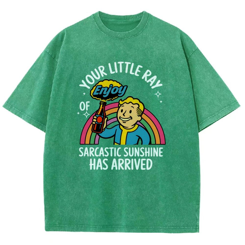 Your Little Ray of Sarcastic Sunshine Has Arrived Vintage Distressed T-shirt