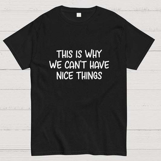 This is Why We Can't Have Nice Things Geek T-Shirt