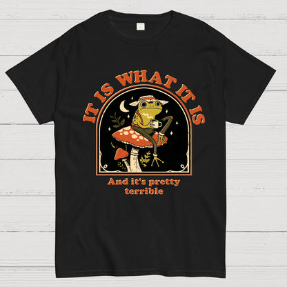 It Is What It Is And It's Pretty Terrible Geek T-Shirt