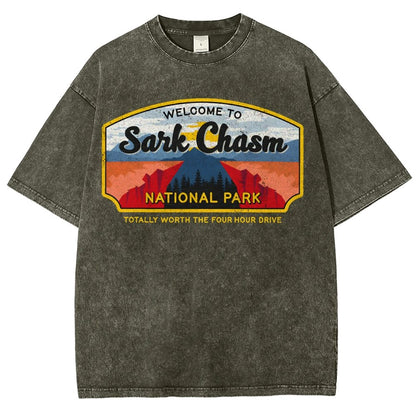 Welcome To Sarcasm Remix Vintage Distressed T-shirt