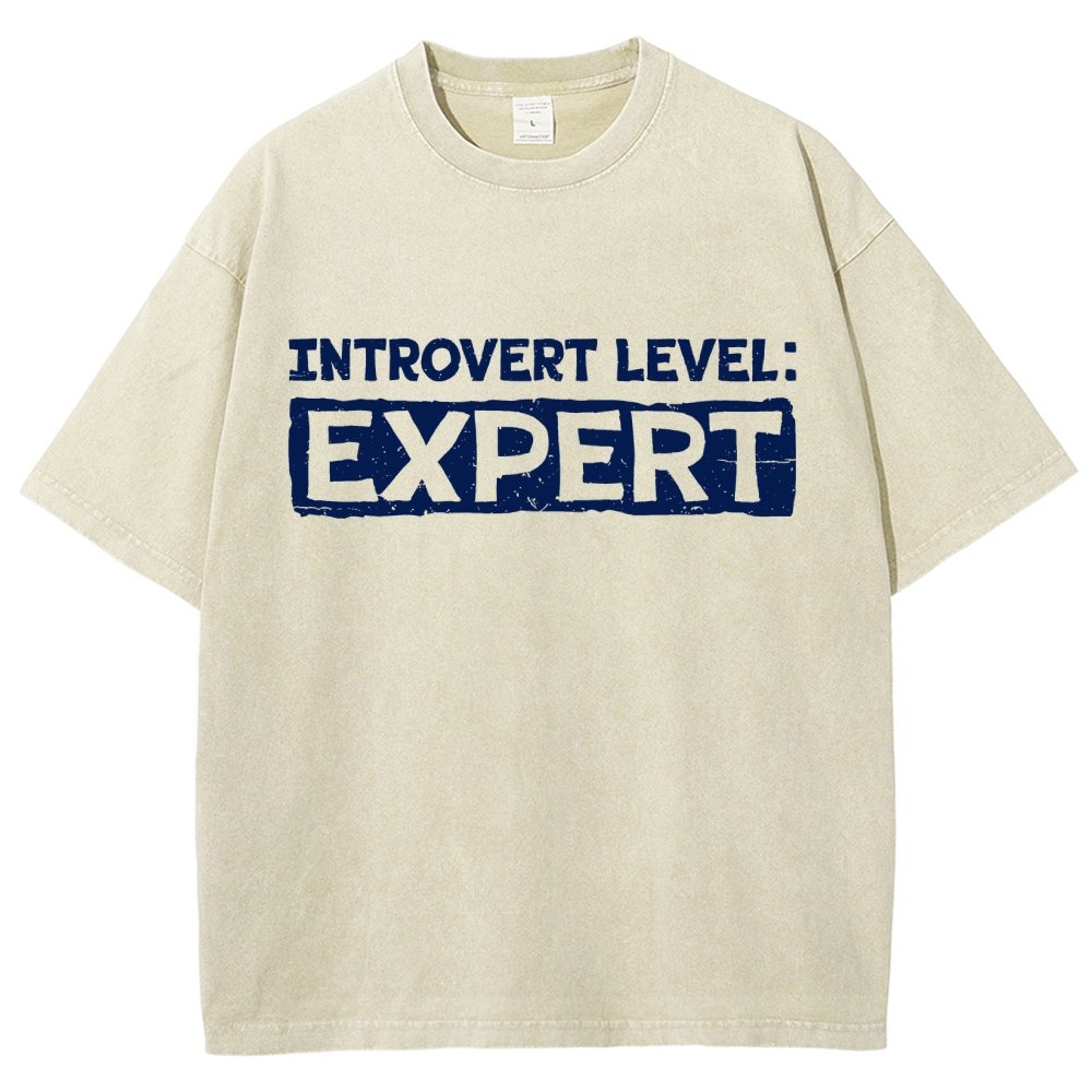 Introvert Level:Expert Vintage Distressed T-shirt