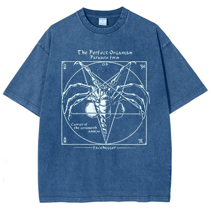 Mystery Pentagram Vintage Distressed T-shirt