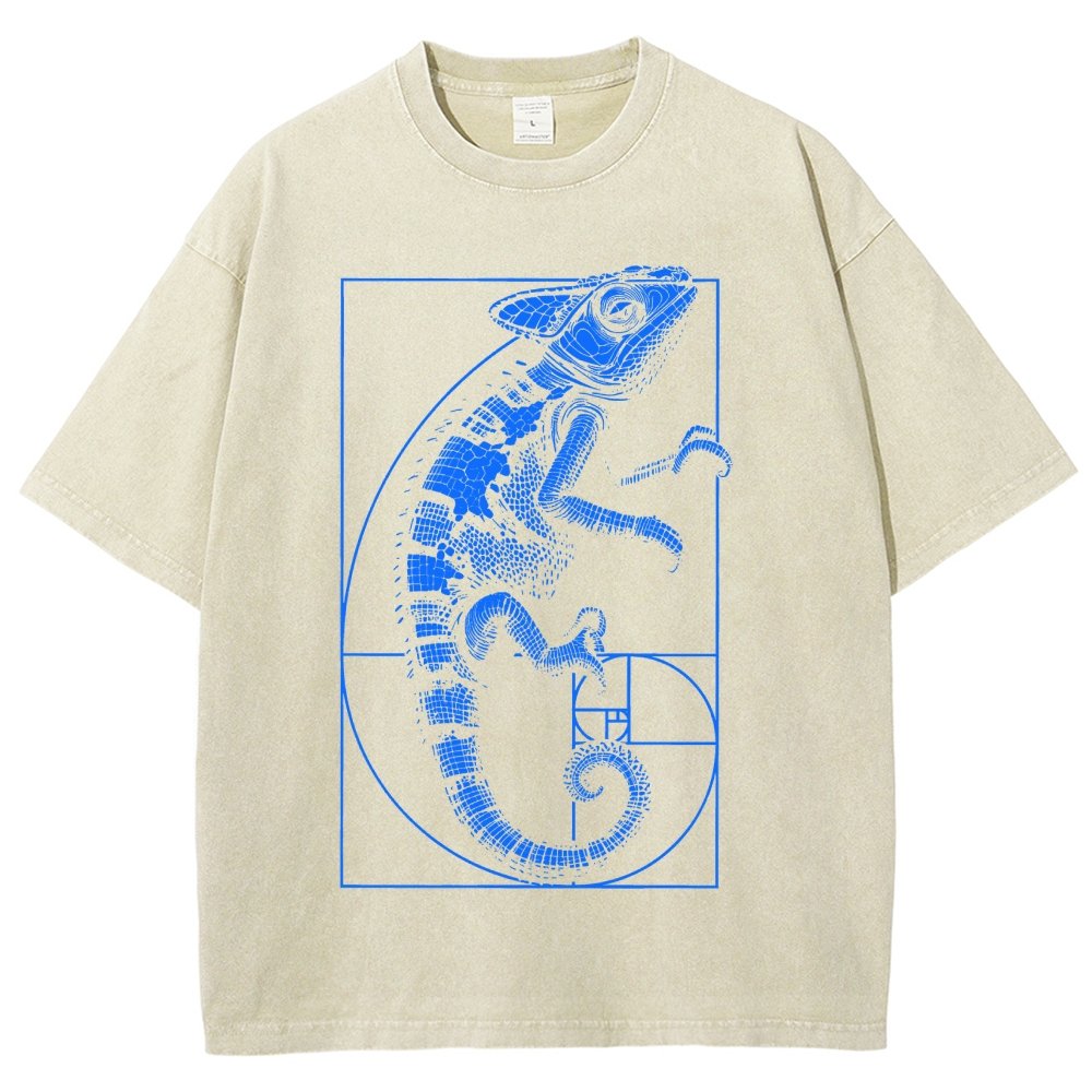 Chameleon Ratio Vintage Distressed T-shirt