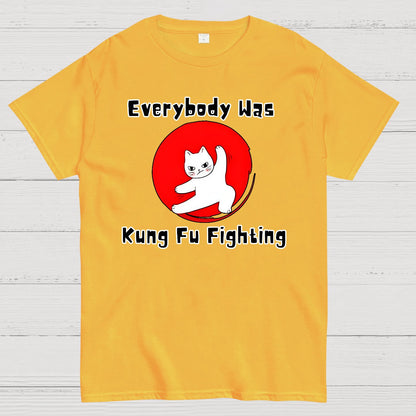 Everybody Was Kung Fu Fighting Geek T-Shirt