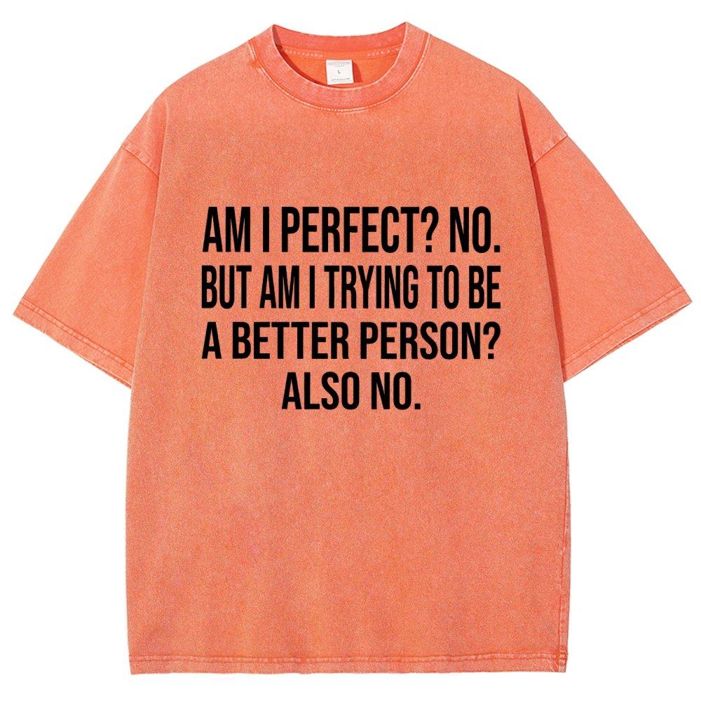 Am I Perfect No But Am I Trying To Be A Better Person Also No Vintage Distressed T-shirt