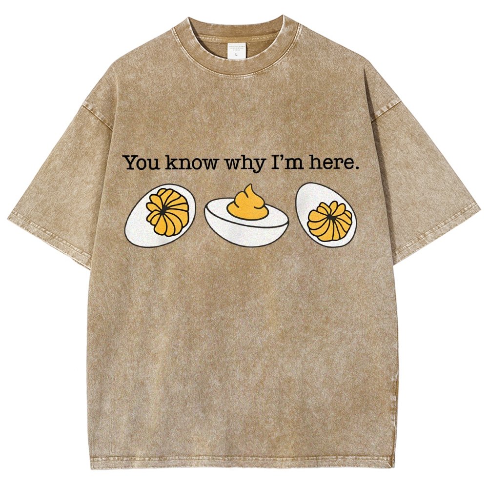 Retro You Know Why I'm Here Deviled Egg Vintage Distressed T-shirt