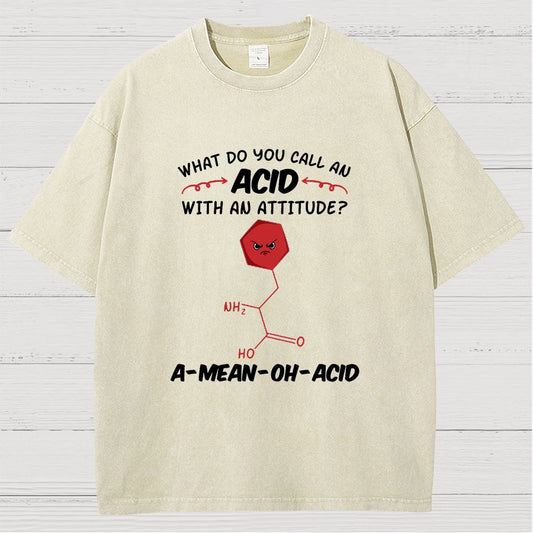 What Do You Call An ACID Vintage Distressed T-shirt