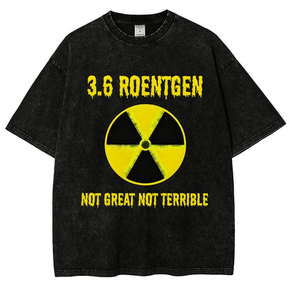 3.6 Roentgen Not Great Not Terrible Vintage Distressed T-shirt