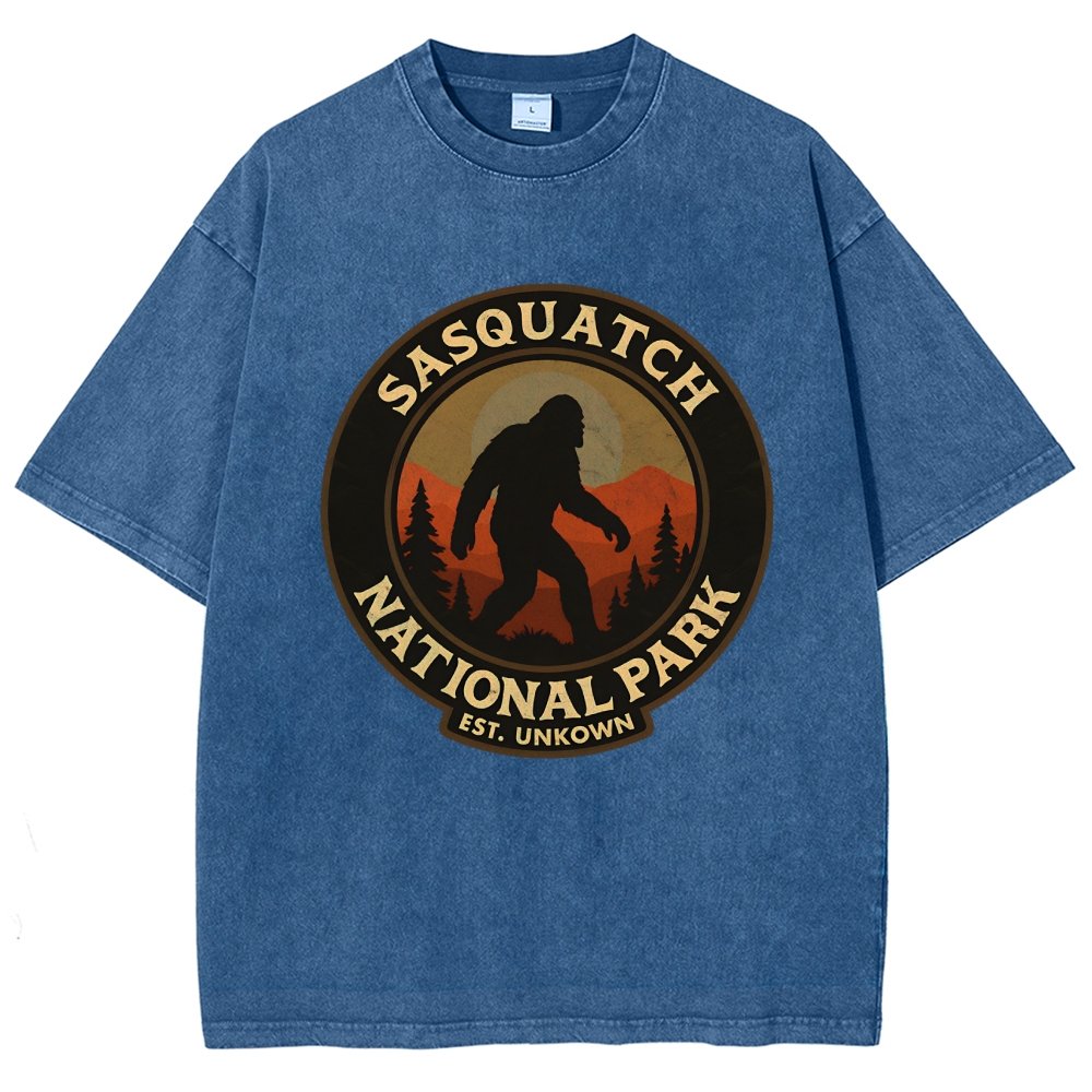 Sasquatch National Park Vintage Distressed T-shirt