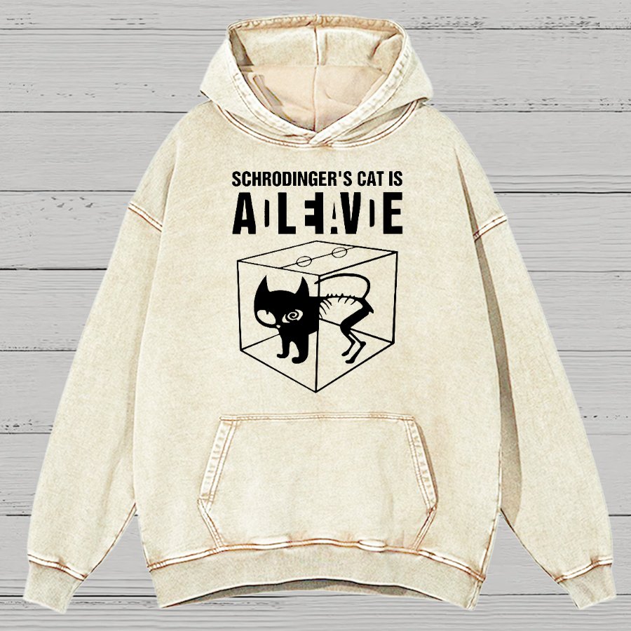 Schrodinger's Cat Vintage Distressed Hoodie