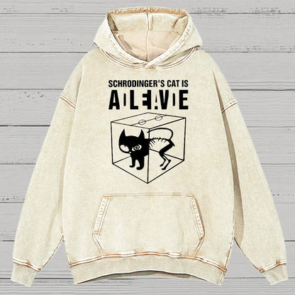 Schrodinger's Cat Vintage Distressed Hoodie