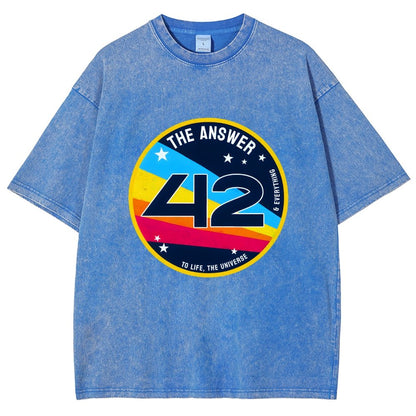 The Answer is 42 Vintage Distressed T-shirt