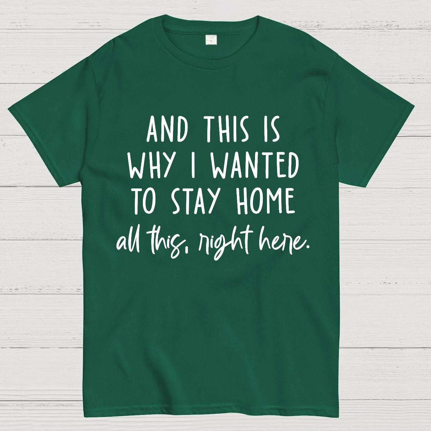 Sarcastic Introvert And This Is Why I Wanted To Stay Home Geek T-Shirt