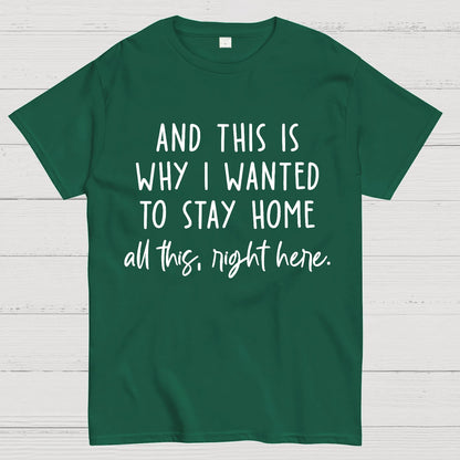 Sarcastic Introvert And This Is Why I Wanted To Stay Home Geek T-Shirt