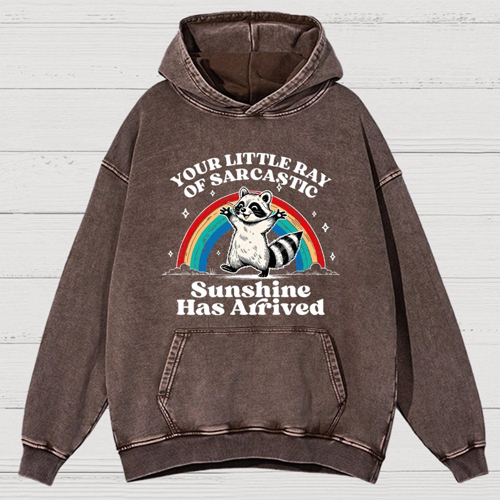 Your Little Ray of Sarcastic Sunshine Has Arrived Vintage Distressed Hoodie