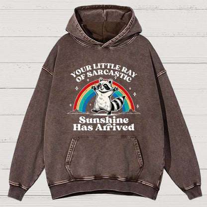 Your Little Ray of Sarcastic Sunshine Has Arrived Vintage Distressed Hoodie