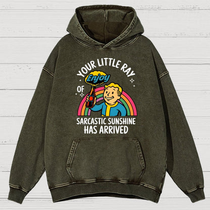 Your Little Ray Of Sarcastic Sunshine Has Arrived Vintage Distressed Hoodie