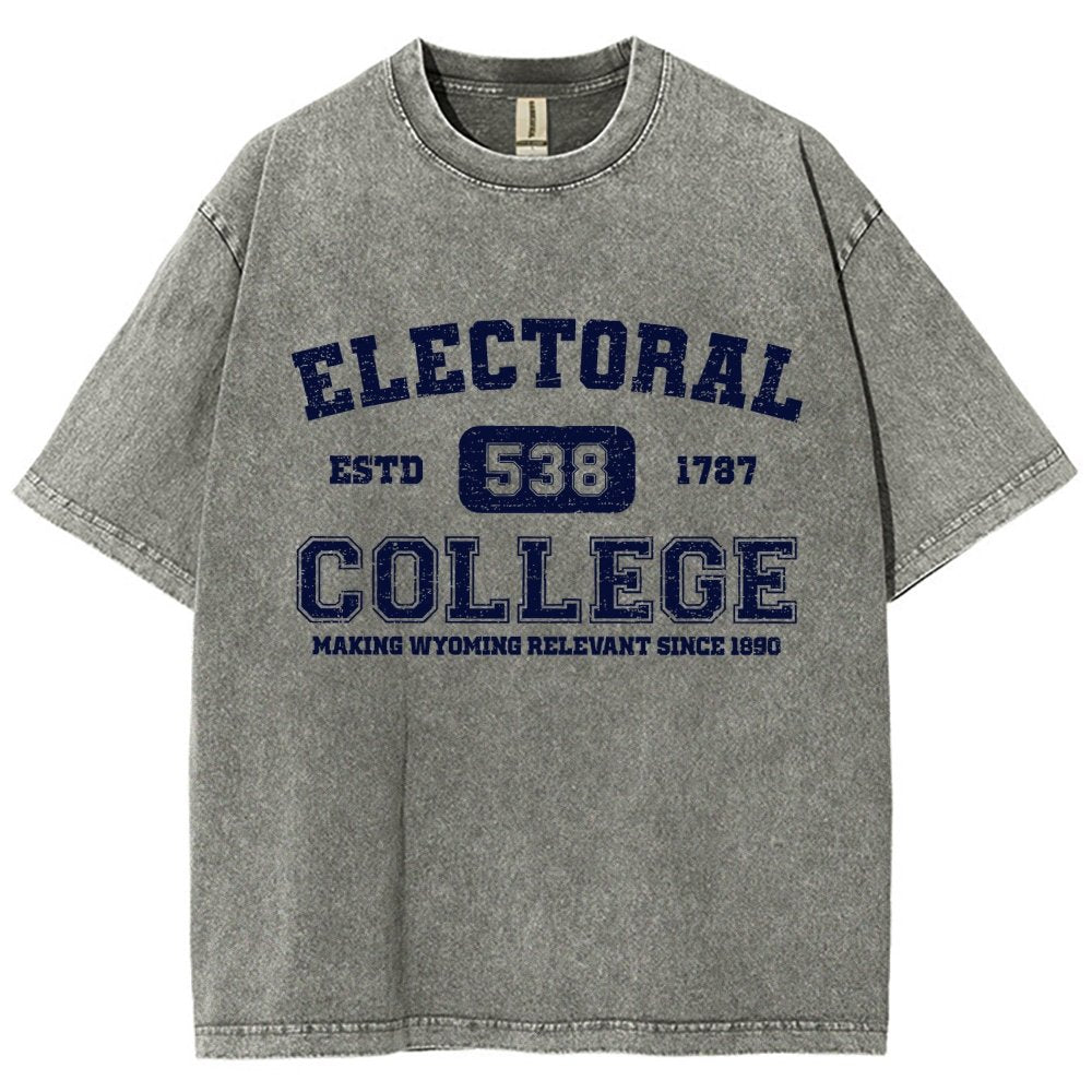The Electoral College Vintage Distressed T-shirt