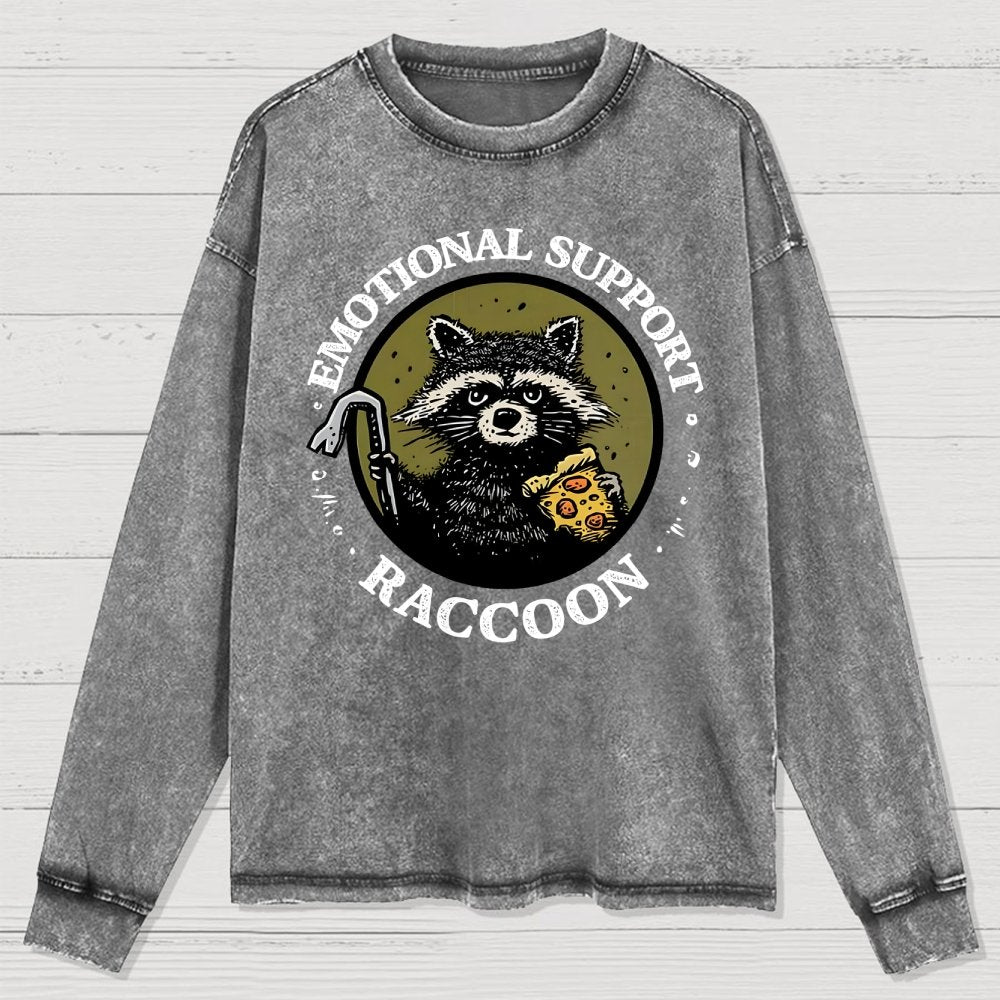 Emotional Support Raccoon Washed Long Sleeve Tee