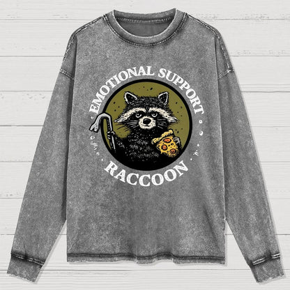 Emotional Support Raccoon Washed Long Sleeve Tee