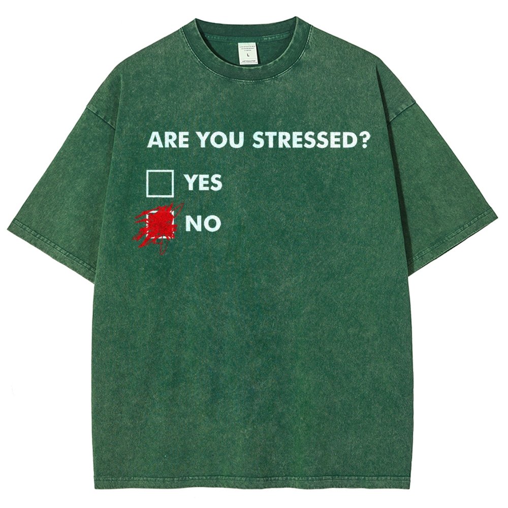 Fuuny Word Are You Stressed No Vintage Distressed T-shirt