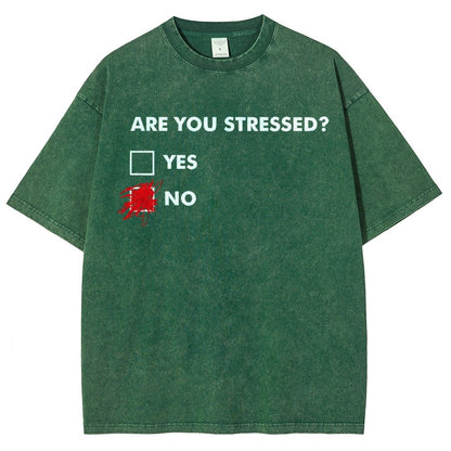 Fuuny Word Are You Stressed No Vintage Distressed T-shirt