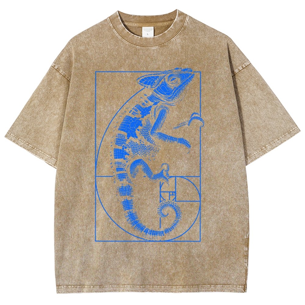 Chameleon Ratio Vintage Distressed T-shirt