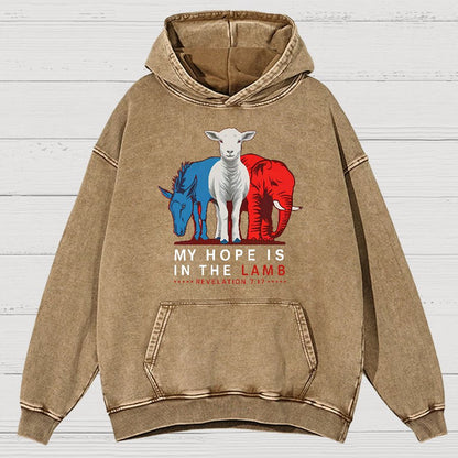 My Hope Is In The Lamb Vintage Distressed Hoodie