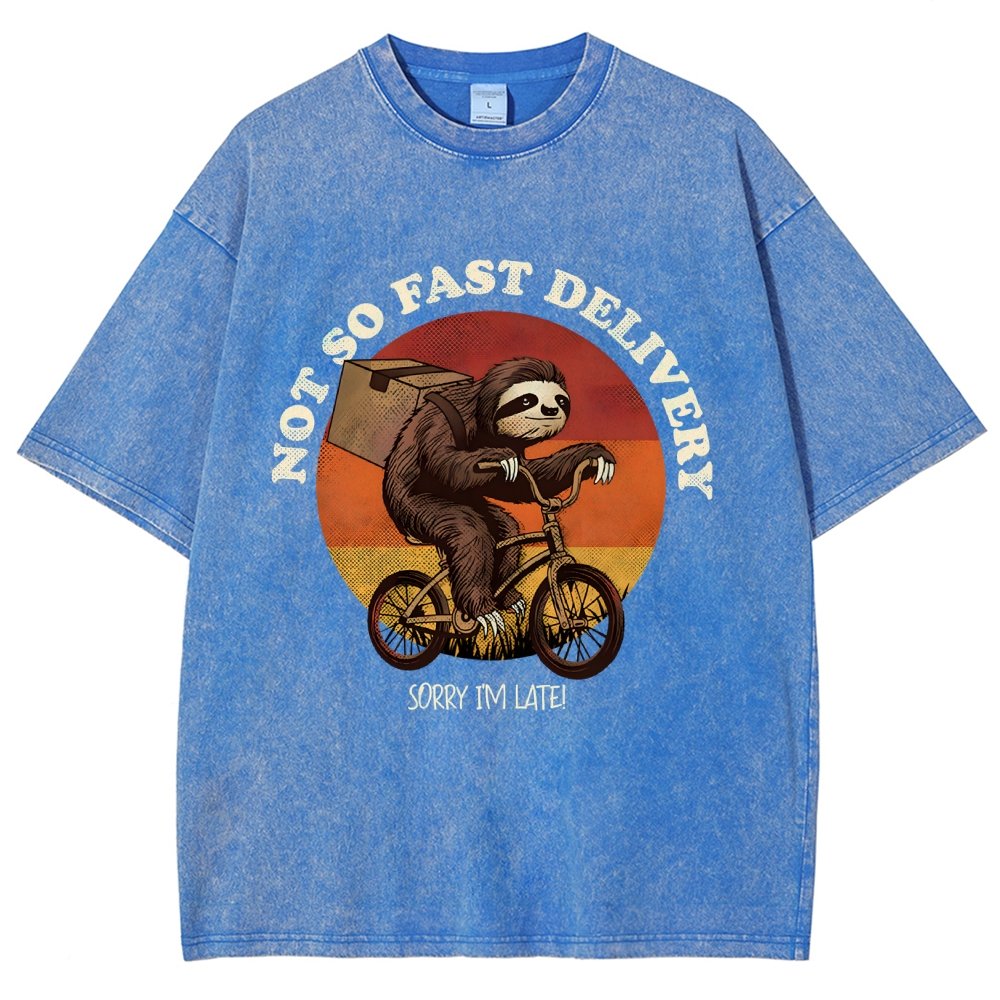 Not So Express Delivery Vintage Distressed T-shirt