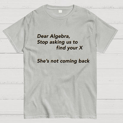 Dear Algebra, Stop Asking Us To Find Your X-1 Geeky T-Shirt
