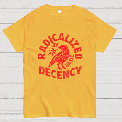 Radicalized By Basic Decency Geek T-Shirt