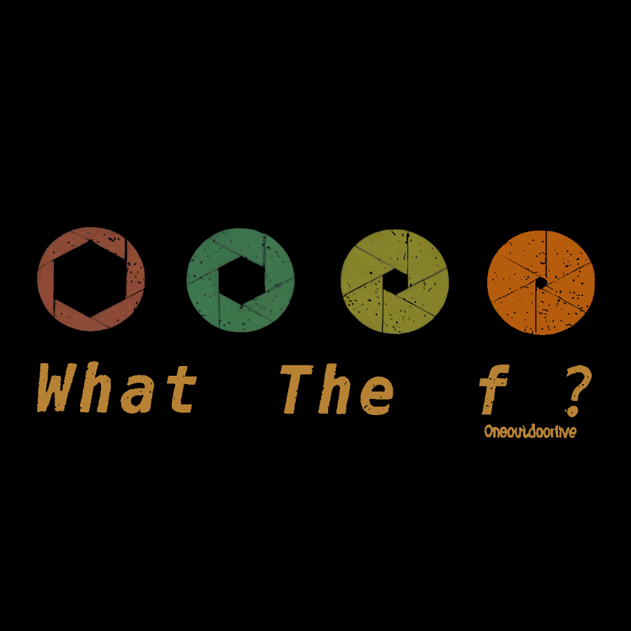 WHAT THE F��Geek T-Shirt