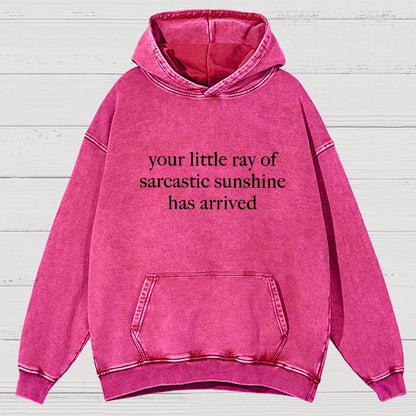 Your Little Ray of Sarcastic Sunshine Has Arrived -3 Vintage Distressed Hoodie