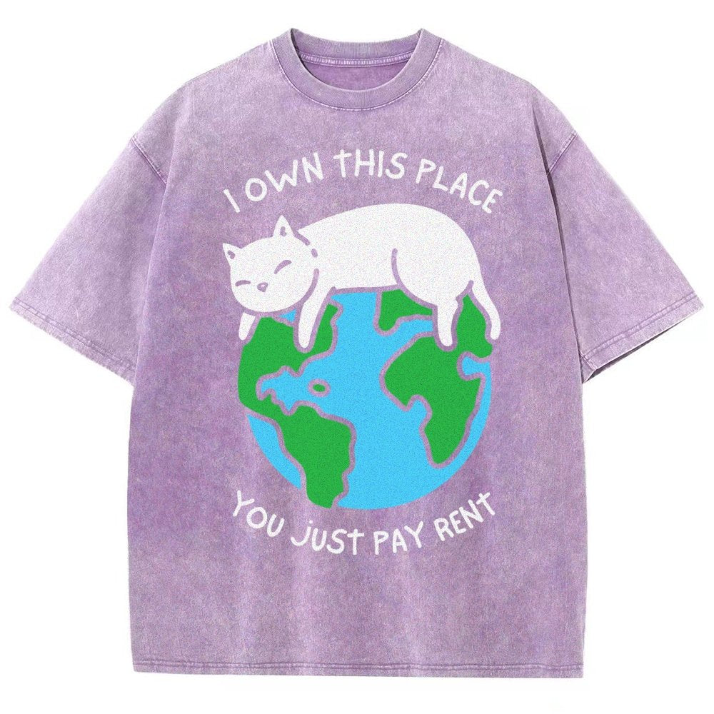 I Own This Place Vintage Distressed T-shirt