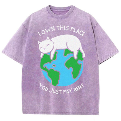 I Own This Place Vintage Distressed T-shirt
