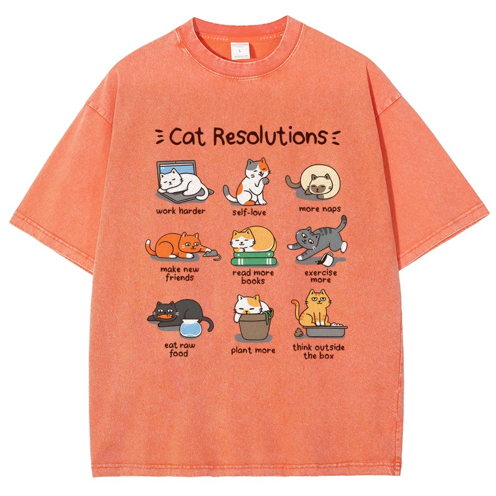Cat Resolutions Vintage Distressed T-shirt