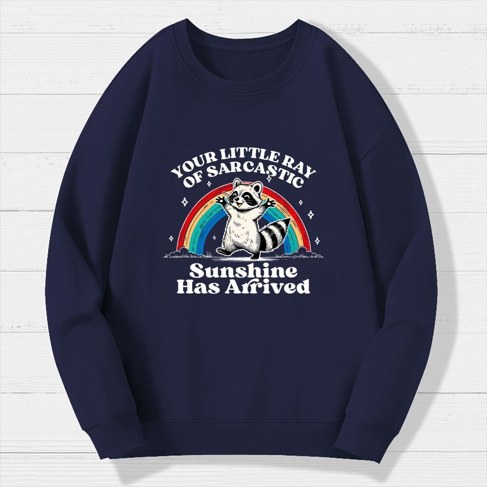 Your Little Ray of Sarcastic Sunshine Has Arrived Geek Cotton Sweatshirt