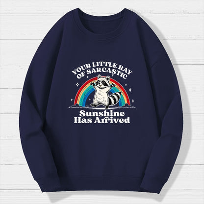 Your Little Ray of Sarcastic Sunshine Has Arrived Geek Cotton Sweatshirt
