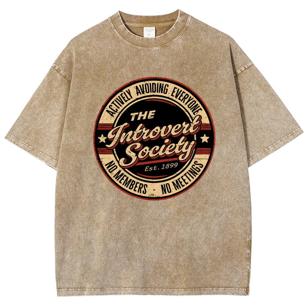 The Introvert Society Vintage Distressed T-shirt