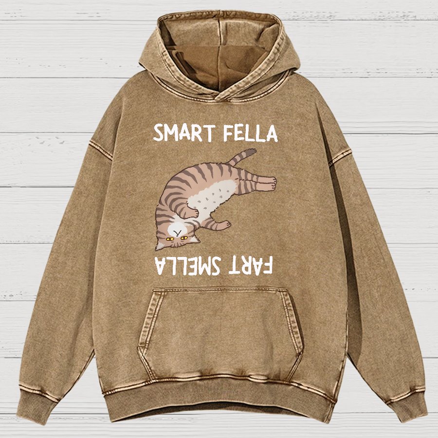 Smart Fella Fart Smella  Funny Cat Pun Vintage Distressed Hoodie