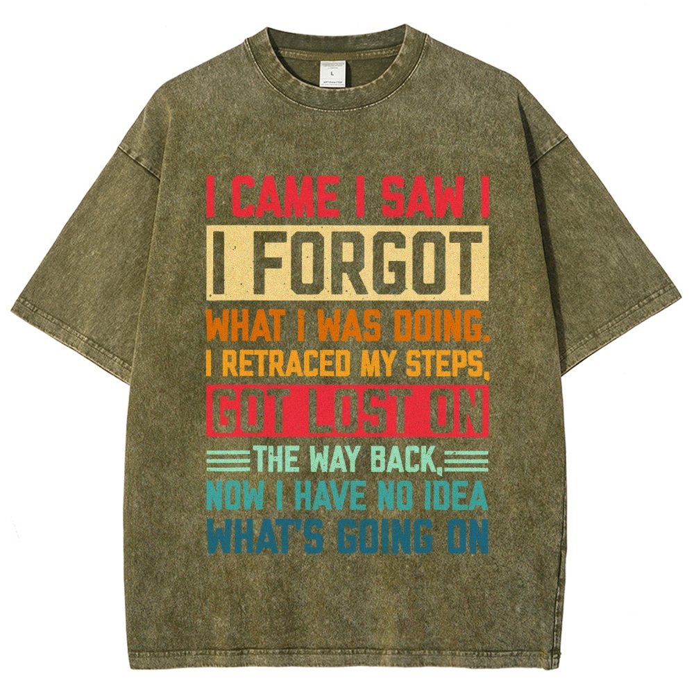 I Came I Saw I Forgot What I Was Doing Sarcastic Vintage Distressed T-shirt